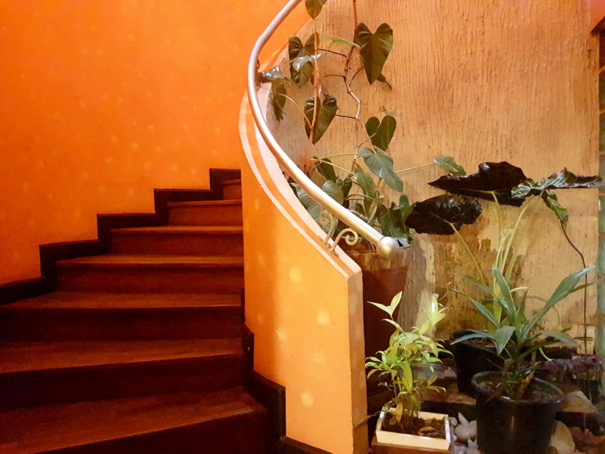 Sole Hotel Antananarivo Luaran gambar
